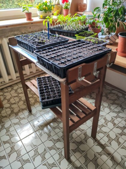 Dārznieka galds
