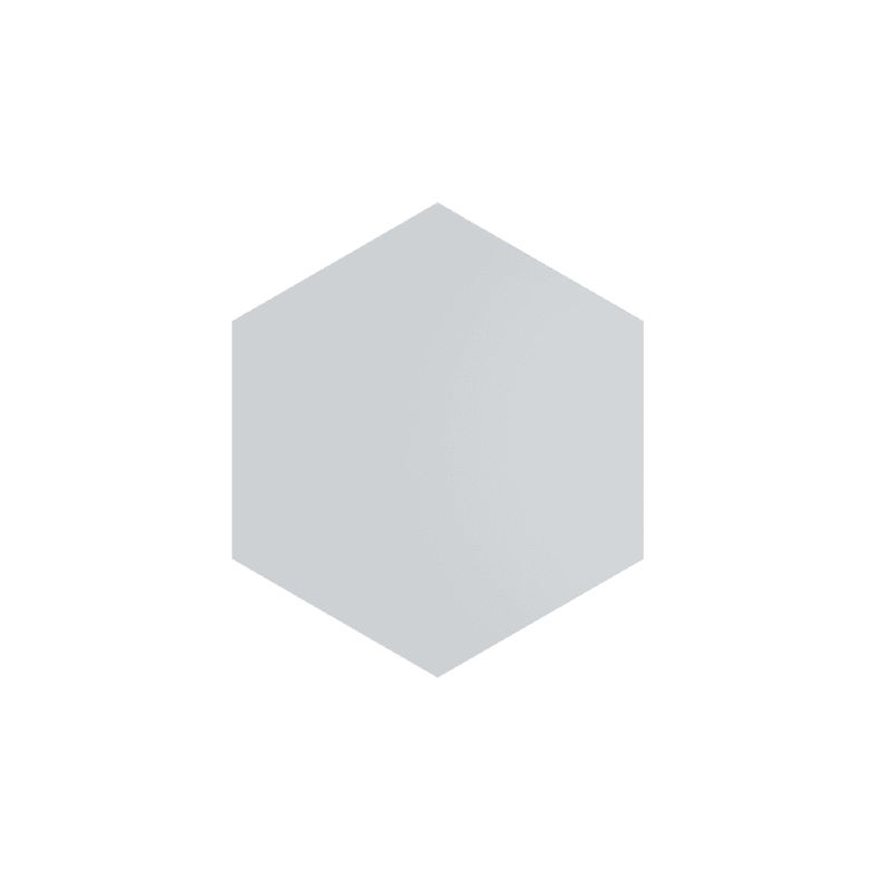 Sienu dekors "Hexagon", 30x30cm, gray